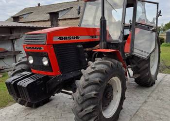 Ursus 1224