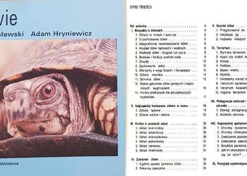 Żółwie, Gosławski, Hryniewicz, album, poradnik, książka