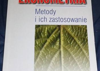 Ekonometria - Metody i ich zastosowanie - Aleksander Welfe