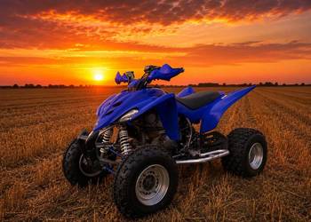 Yamaha Raptor 350