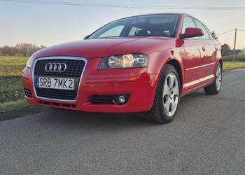 Audi a3 8p quattro