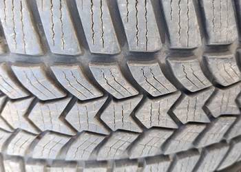 Opony zimowe Dębica 16/55/205