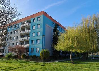 Lokal usługowy - Gaj, ul. Orłowicza