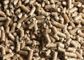 Pellet drzewny brzoza