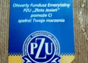 OTWARTY FUNDUSZ EMERYTALNY PZU ZŁOTA JESIEŃ OTWARTY FUNDUSZ EMERYTALNY PZU ZŁOTA JESIEŃ