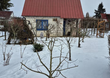 Działka ROD Mickiewicza