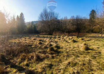Działka 8a otulona zielenią – Jeleśnia czeka!