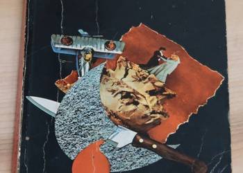 Erle Stanley Gardner - Siostrzenica lunatyka