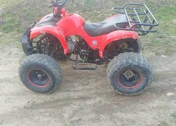 Quad 125 4t