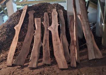 Sprzedam  deski z orzecha włoskiego