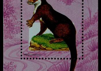 Rep. Gwinea ( fauna )