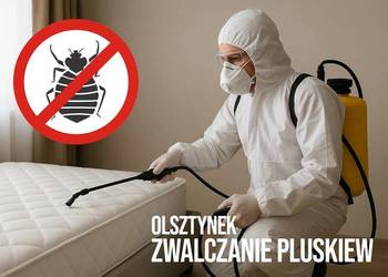 Zwalczanie pluskiew Olsztynek - Odpluskwianie, Dezynsekcja