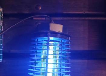 Lampa owadobojcza