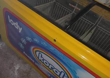 Zamrażarka przeszklona