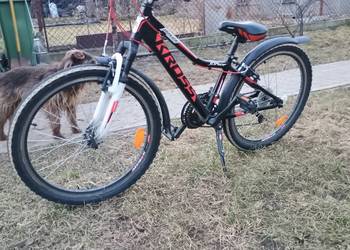 Kross hexagon junior 24''