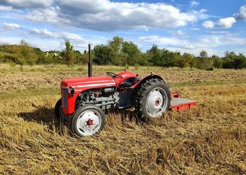 Ferguson tea20 z 1956r