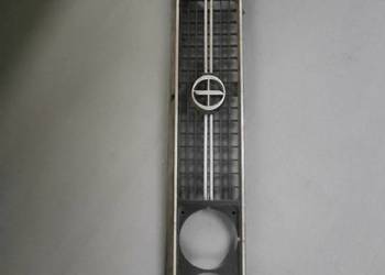 Atrapa grill polonez