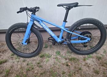 Specialized rip rock 20''