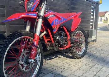 Asix lizzard 250 2024