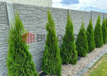 Ogrodzenie betonowe płyty słupy ogrodzeniowe płot betonowy - Producent