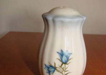 porcelanowa solniczka