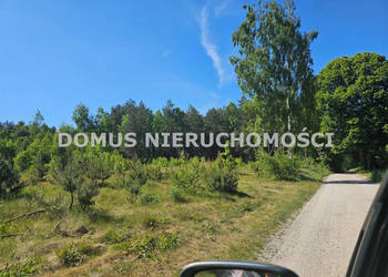 Grunt Brzeziny 22000m2