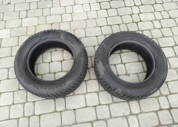 Opony wielosezonowe 195/65 R15 – Targum Seasoner