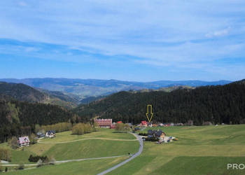 Dom 300m2 Piwniczna-Zdrój