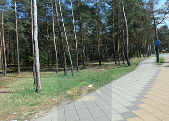 Teren do wynajęcia.