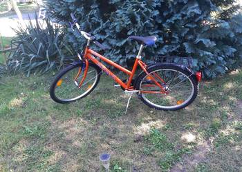 Rower damski 26’’ Scala Sunshine