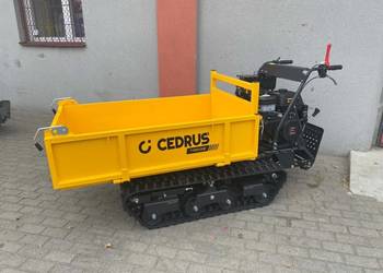 Transporter Cedrus TR800GE 15kM 800kg Wysyp Hydrauliczny