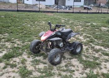 Quad dla dzieci (chinczyk)