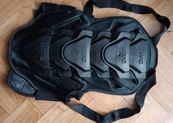 Ochraniacz na plecy marki HARRO