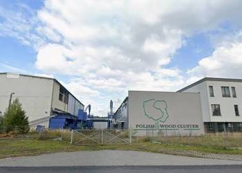 syndyk sprzeda zcp - elektrownię, linie pellet, biomasę