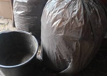 Obornik króliczy w workach