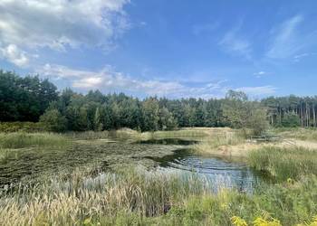 Bezpośrednio - 26 km od Warszawy, działka budowlana 3684 m2 nad stawem.