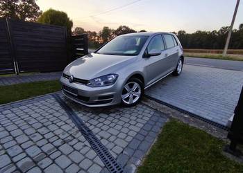 Golf Vll bezwypadkowy opłacony benzyna