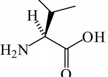 L-Walina Aminokwas L-Valine Walina 10kg