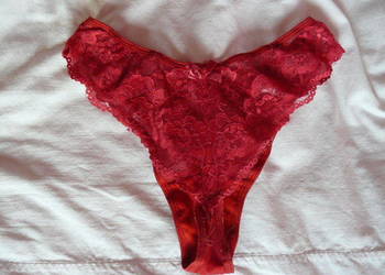 Stringi Evana Taternik