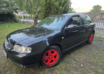 AUDI A3 FL_Bezwypadkowy_Alus_Climatronic_1.6 8V Benzyna_Zapraszam_Polecam_