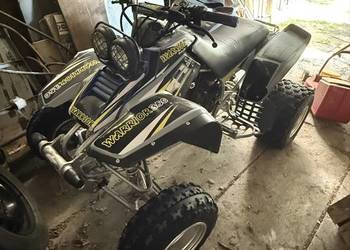 Yamaha Warrior 350