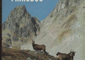 Tatranskou prirodou - tatrzańska przyroda