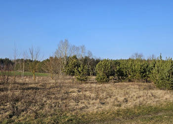 Działka rekreacyjna 1500m