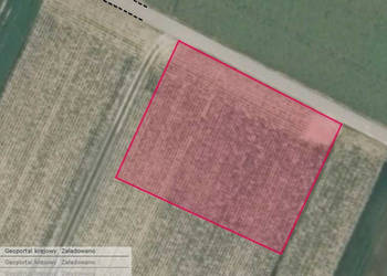 Działka Palikije Drugie 1800m2