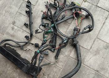 Wiązki silnika n42b20 n42b18 N46 BMW E46.