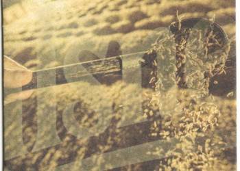 Pilsner Urquell - podstawka do piwa. Nr. 3.