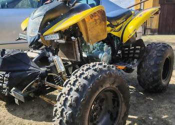 Quad 250 cm zarejestrowany