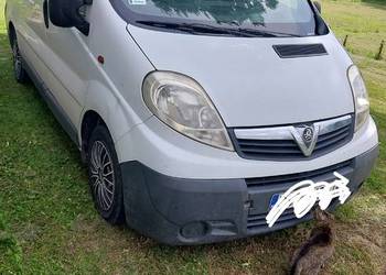 Vivaro