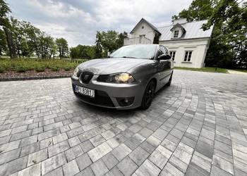 Seat Ibiza 1.8t Cupra
