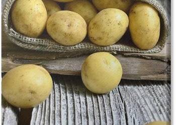 SPRZEDAM ZIEMNIAKI JADALNE PAKOWANE PO 2,5 LUB 5KG Możliwy Transport!!!